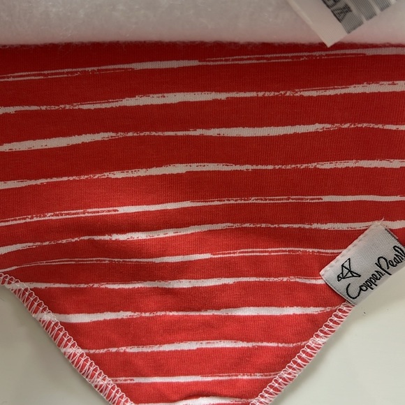 NWT Bundle (2) Carter’s Baby Dinosaur Romper/Bandana Bibs - Picture 11 of 13